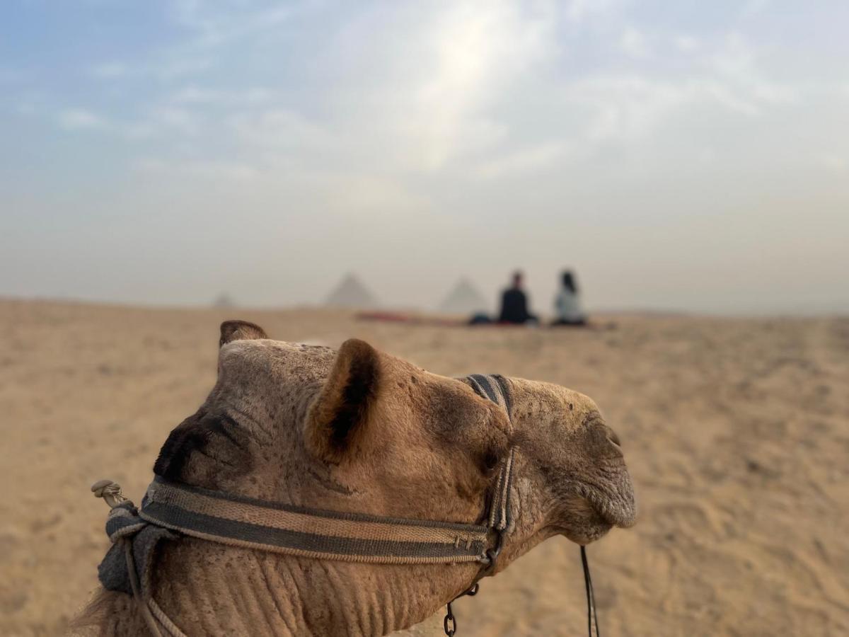 Pyramids Top Success Result Kafrat al Jabal Экстерьер фото