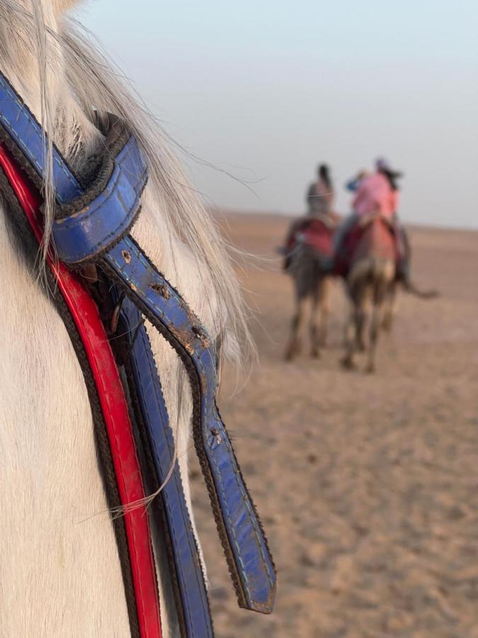 Pyramids Top Success Result Kafrat al Jabal Экстерьер фото
